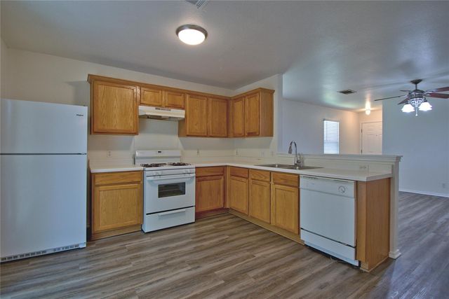 16418 Hamilton Point CIR, Manor, TX 78653