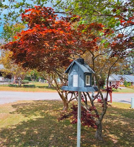 416 Briarcliff Street, Manning, SC 29102