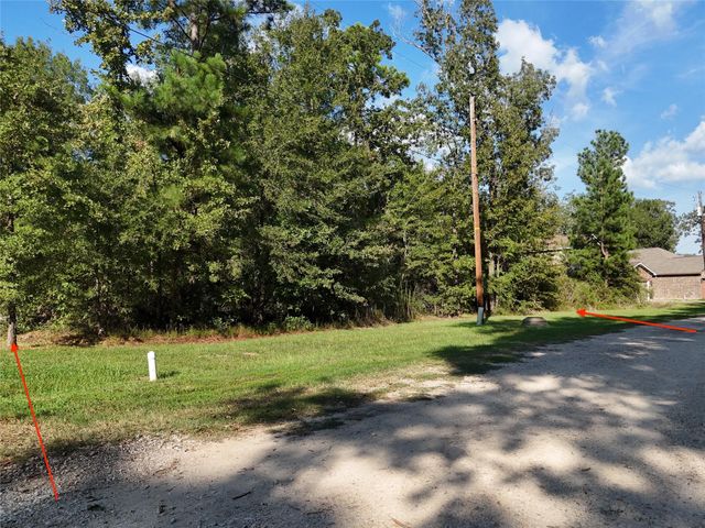 NA Village Cove Loop, Livingston, TX 77351