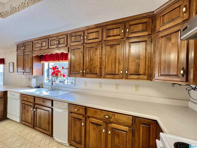 250 CROSSHILL LANE, Warrior, AL 35180