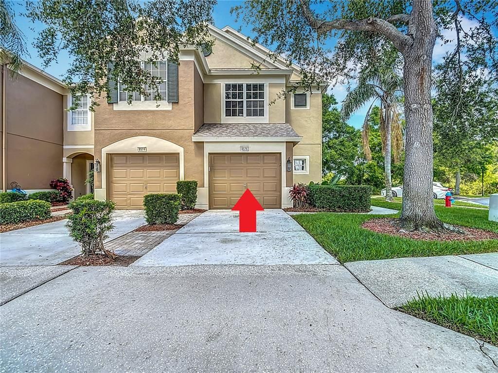 8576 SANDY BEACH ST, Tampa, FL 33634
