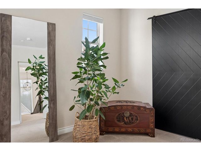 9073 E 29th Pl, Denver, CO 80238