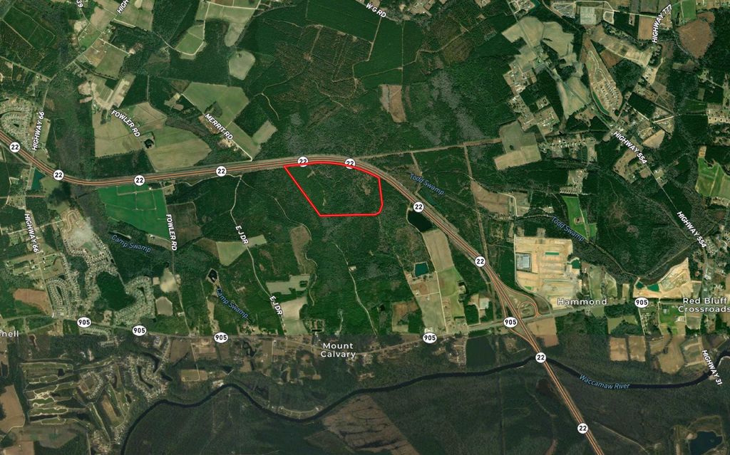 TBD Highway 905, Conway, SC 29526 — photo 3
