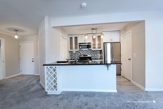 1508 Spring Brook Court 1D, Round Lake Beach, IL 60073