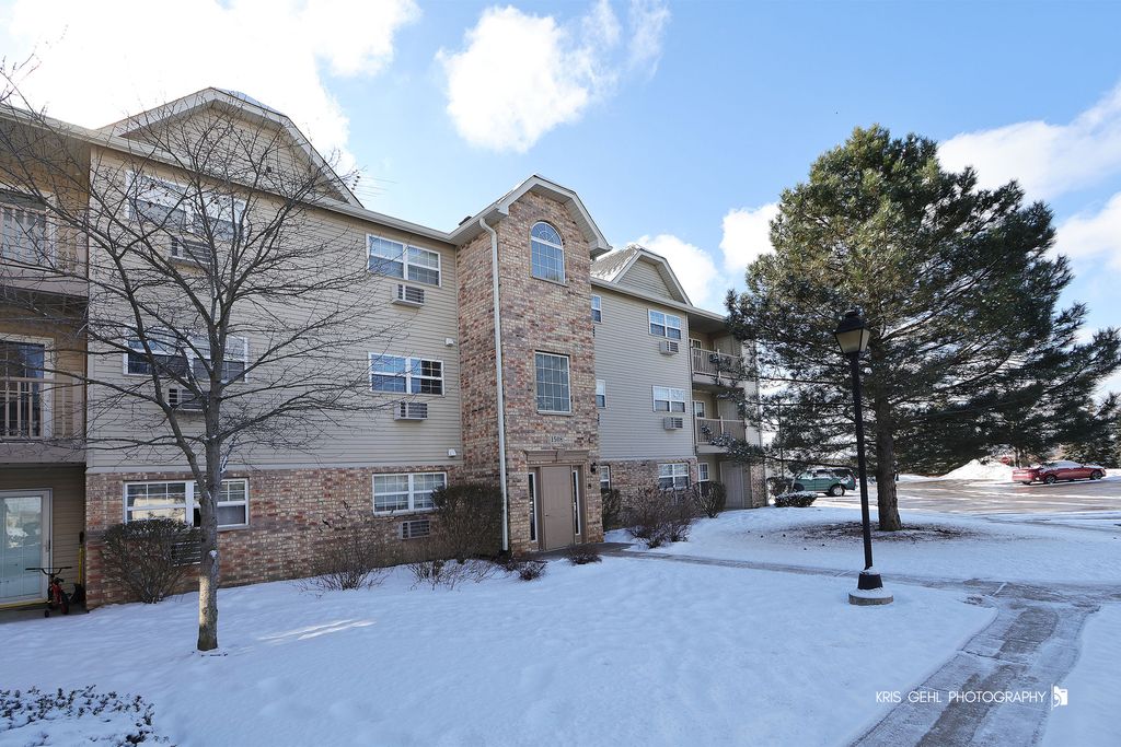 1508 Spring Brook Court 1D, Round Lake Beach, IL 60073