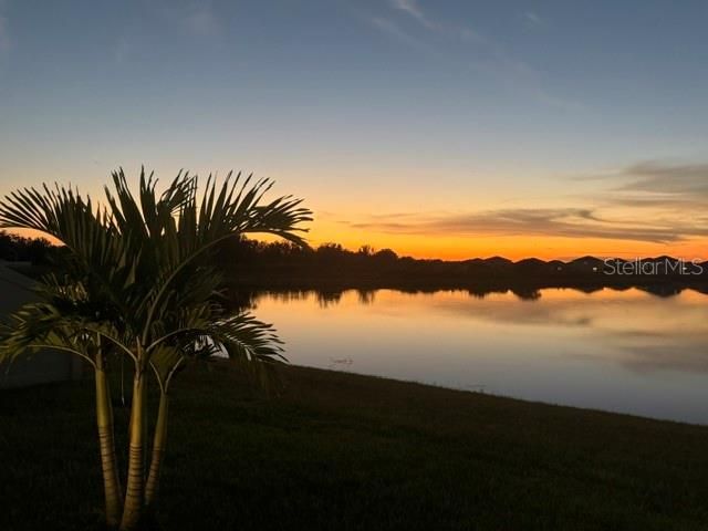 3117 KING FERN DRIVE, Wimauma, FL 33598