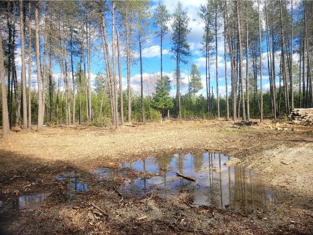 12351 E E Bridges Rd, Elk, WA 99009