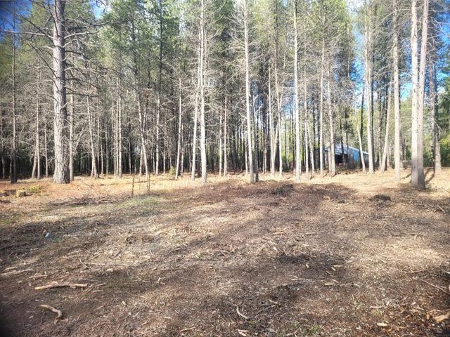 12351 E E Bridges Rd, Elk, WA 99009