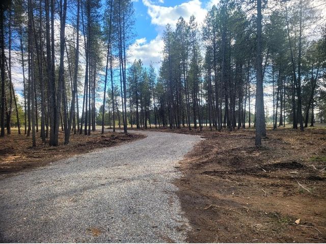 12351 E E Bridges Rd, Elk, WA 99009