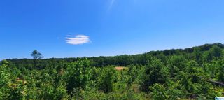 0 LASKA DRIVE, Wedowee, AL 36278