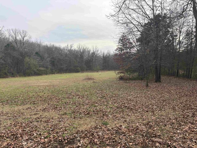 415 Rush Lane, Imboden, AR 72434