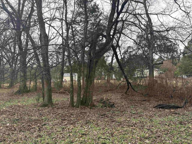 415 Rush Lane, Imboden, AR 72434