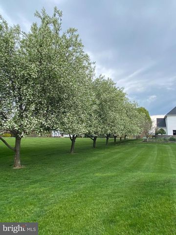 1007 CHESTNUT PL, Hummelstown, PA 17036