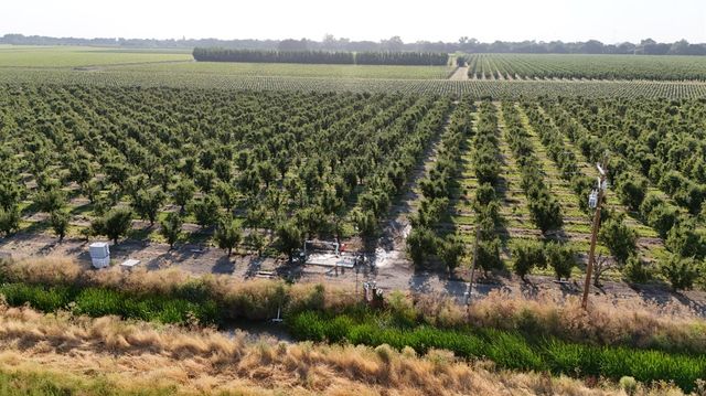 787 W Sutter Island Cross Rd, Courtland, CA 95615