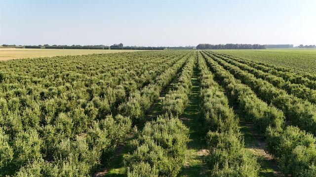 787 W Sutter Island Cross Rd, Courtland, CA 95615