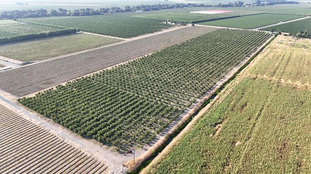 787 W Sutter Island Cross Rd, Courtland, CA 95615