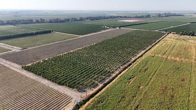 787 W Sutter Island Cross Rd, Courtland, CA 95615