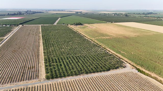 787 W Sutter Island Cross Rd, Courtland, CA 95615