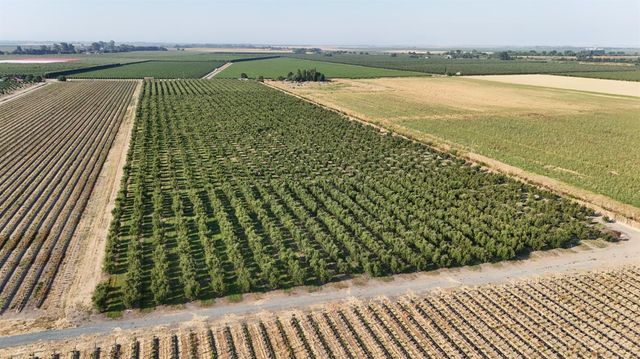 787 W Sutter Island Cross Rd, Courtland, CA 95615