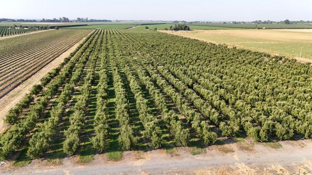 787 W Sutter Island Cross Rd, Courtland, CA 95615