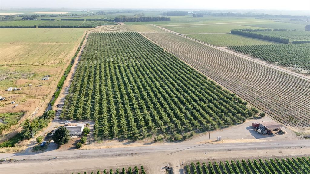 787 W Sutter Island Cross Rd, Courtland, CA 95615