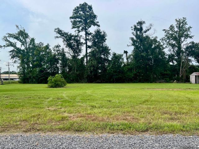 13386 La Hwy 431, St Amant, LA 70774