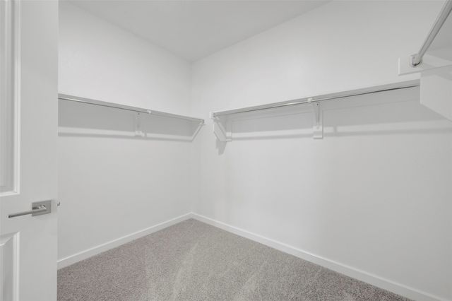 144 Summer Rain Way, Newark, TX 76071