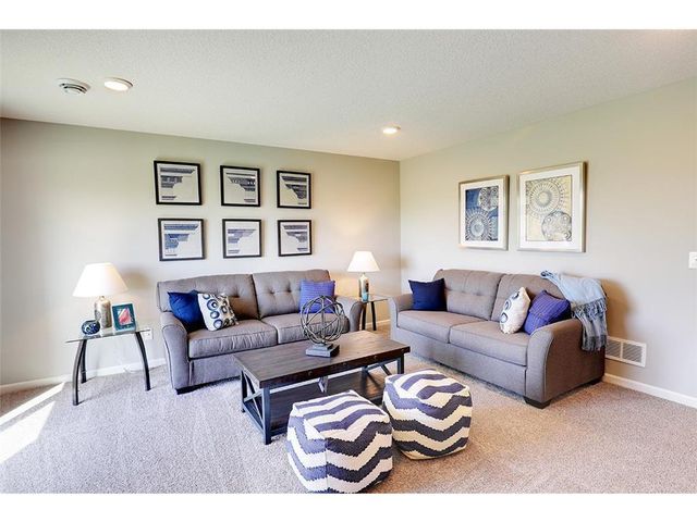 9820 Upper 89th Street S, Cottage Grove, MN 55016