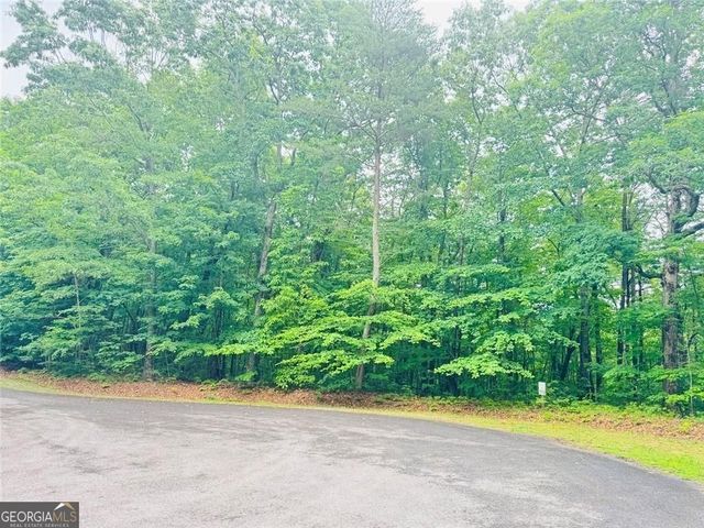 0 Highpointe Trail 194, Ellijay, GA 30536