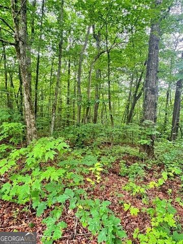 0 Highpointe Trail 194, Ellijay, GA 30536