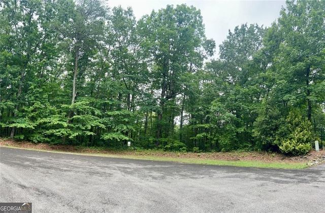 0 Highpointe Trail 194, Ellijay, GA 30536