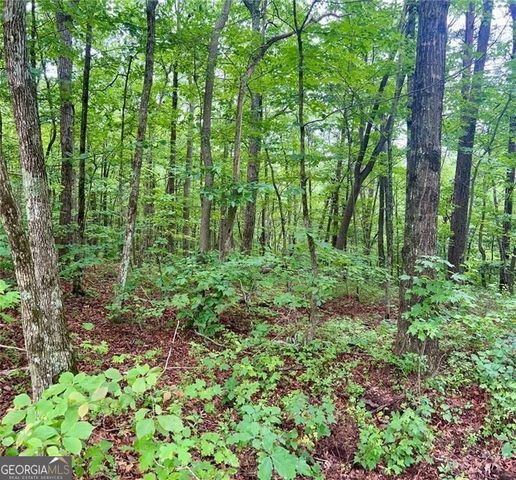 0 Highpointe Trail 194, Ellijay, GA 30536