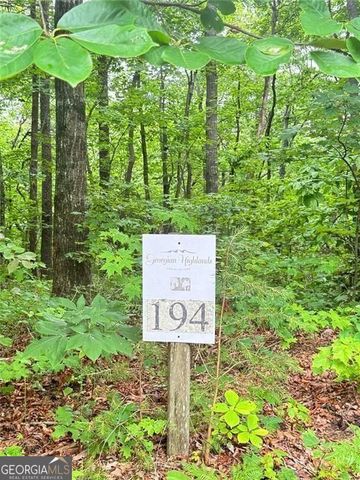 0 Highpointe Trail 194, Ellijay, GA 30536