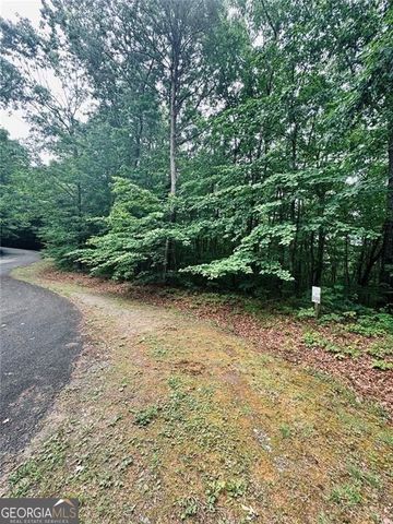 0 Highpointe Trail 194, Ellijay, GA 30536