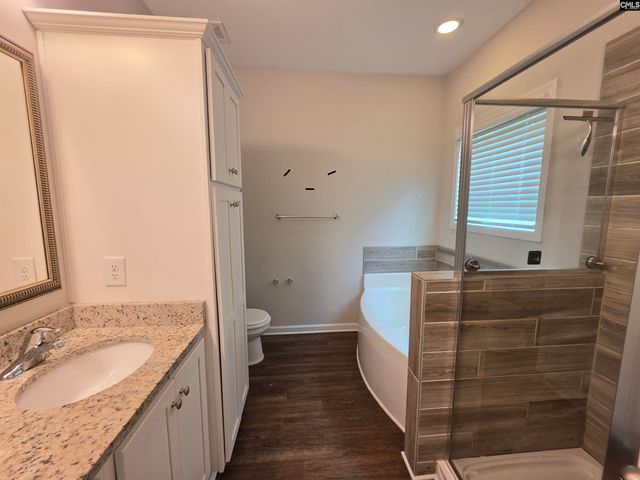 316 Dolly Horn Lane, Chapin, SC 29036
