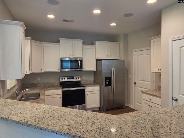 316 Dolly Horn Lane, Chapin, SC 29036
