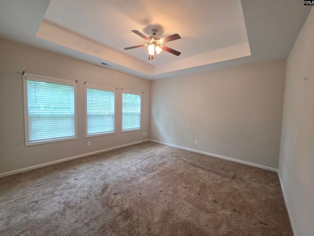 316 Dolly Horn Lane, Chapin, SC 29036