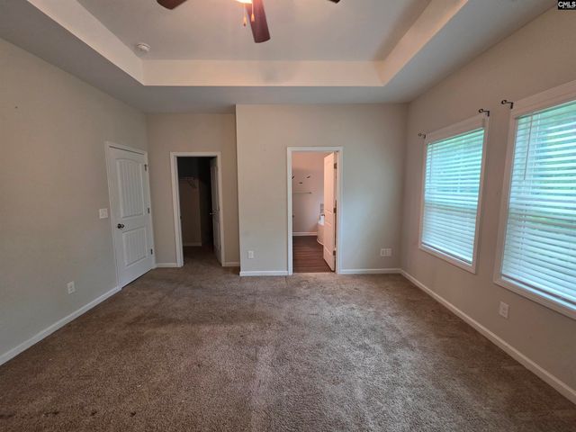 316 Dolly Horn Lane, Chapin, SC 29036