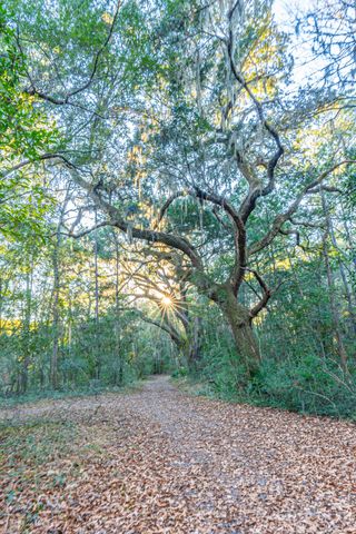 19 Middleton Oaks Road, Charleston, SC 29414