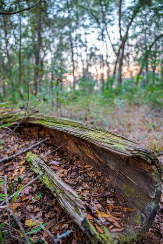 19 Middleton Oaks Road, Charleston, SC 29414