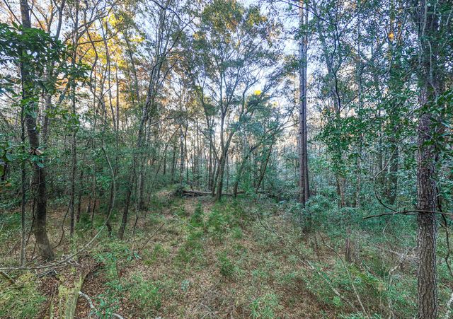 19 Middleton Oaks Road, Charleston, SC 29414