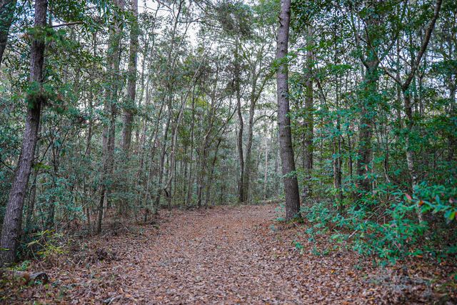 19 Middleton Oaks Road, Charleston, SC 29414