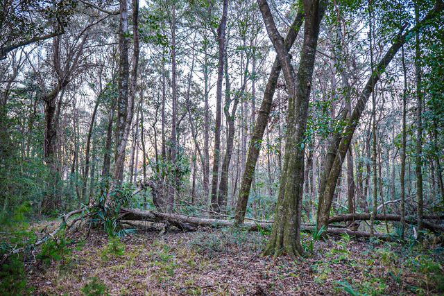 19 Middleton Oaks Road, Charleston, SC 29414