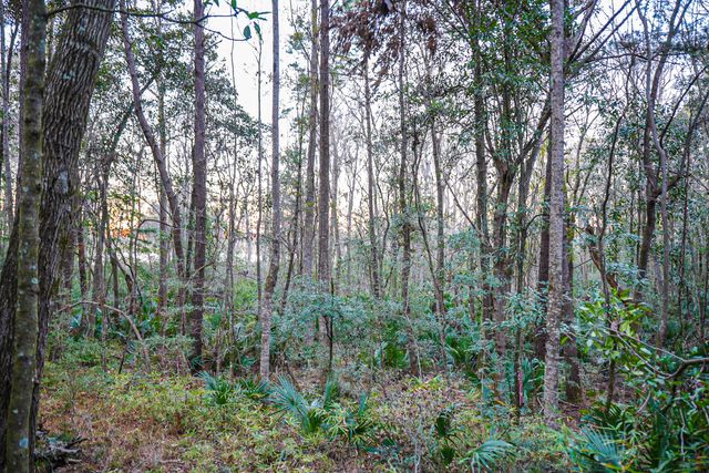 19 Middleton Oaks Road, Charleston, SC 29414