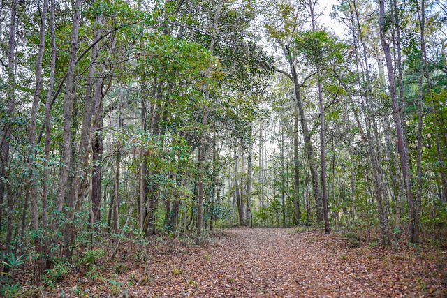 19 Middleton Oaks Road, Charleston, SC 29414