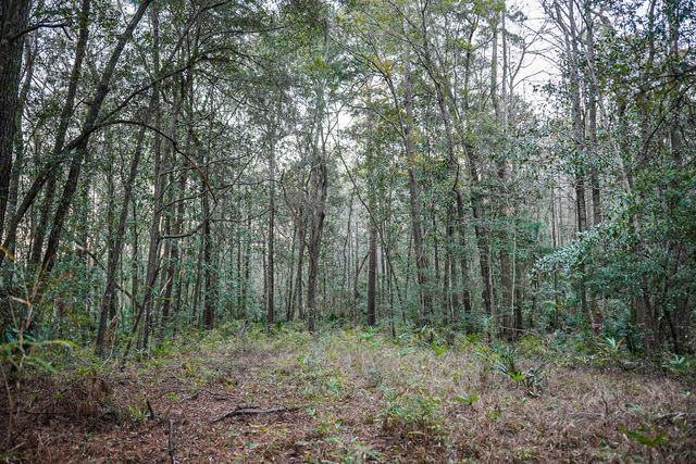 19 Middleton Oaks Road, Charleston, SC 29414