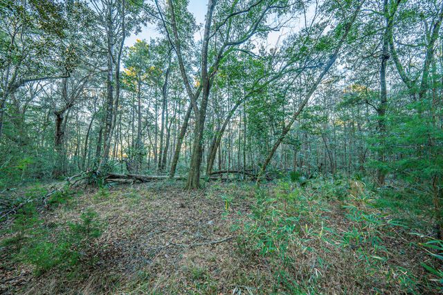 19 Middleton Oaks Road, Charleston, SC 29414