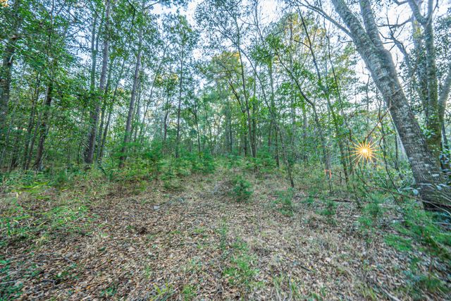 19 Middleton Oaks Road, Charleston, SC 29414