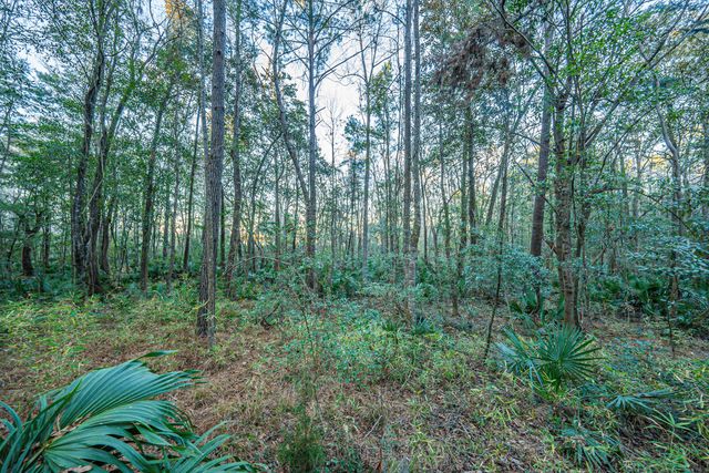 19 Middleton Oaks Road, Charleston, SC 29414