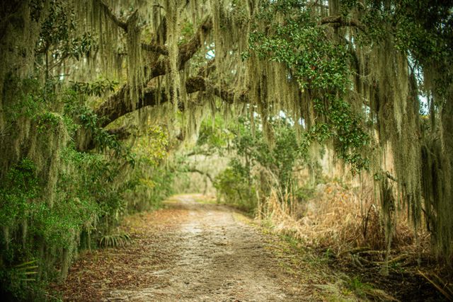 19 Middleton Oaks Road, Charleston, SC 29414